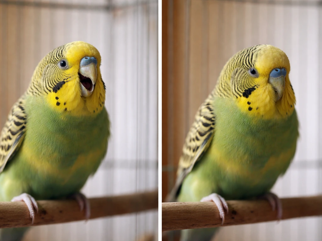 Two-panel photo: a small pet bird open-mouth breathing vs a healthy bird breathing calmly.