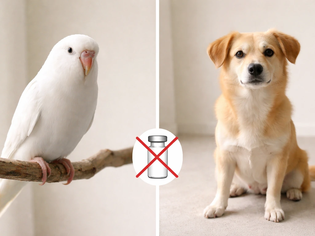 Minimal scene showing a bird and a dog icons with a crossed-out notion of dog dosing mismatch.